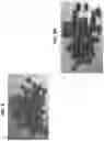 Fig. 08 - Fruit and/or vegetable snack product and methods of production and use therof