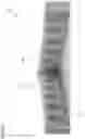 Fig. 06 - Mold Extender
