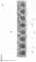 Fig. 09 - Mold Extender