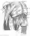 Fig. 01 - Hidden row hair extension method