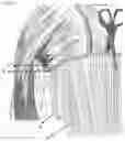 Fig. 06 - Hidden row hair extension method