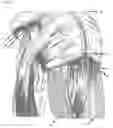 Fig. 08 - Hidden row hair extension method