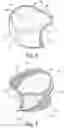 Fig. 06 - Chin Protector Cover
