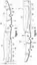 Fig. 06 - Method of manufacturing a fluid-filled chamber with a reinforcing element