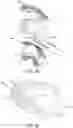 Fig. 09 - Hand held appliance