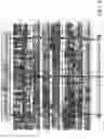 Fig. 35 - Self-standing merchandise frame