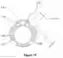 Fig. 12 - MULTI-USE SCOPE WITH MICROLEDS