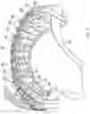 Fig. 08 - Methods and apparatus for providing sub-muscular control