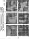 Fig. 40 - Systems, devices, components and methods for detecting the locations of sources of cardiac rhythm disorders in a patient's heart and classifying same