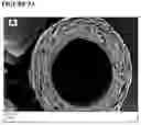 Fig. 06 - Devices and methods for nerve regeneration