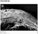 Fig. 07 - Devices and methods for nerve regeneration