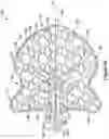 Fig. 06 - OCCLUSIVE DEVICE WITH EXPANDABLE MEMBER