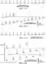 Fig. 27 - Devices and methods for radiation-based dermatological treatments