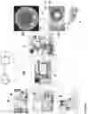 Fig. 07 - Astigmatism correction
