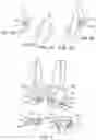 Fig. 03 - Digital dental examination and documentation