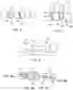 Fig. 05 - Digital dental examination and documentation