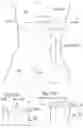 Fig. 09 - Simulation method and system for an optimized implant site