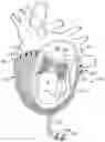 Fig. 01 - Cardiac treatment system and method