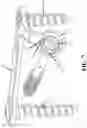 Fig. 09 - Systems and methods for fusion of anatomical joints