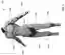 Fig. 09 - Hydrostatic anatomical support devices