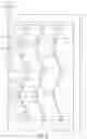 Fig. 06 - Absorbent articles with visually different chassis and waistbands