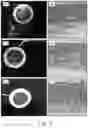 Fig. 06 - METHOD OF INHIBITING HARMFUL MICROORGANISMS AND BARRIER-FORMING COMPOSITION THEREFOR