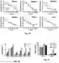Fig. 08 - Hyperstabilized liposomes increase targeting of mitotic cells