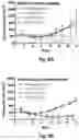 Fig. 10 - Hyperstabilized liposomes increase targeting of mitotic cells
