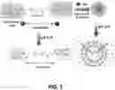 Fig. 02 - Expansile crosslinked polymersome for pH-sensitive delivery of anticancer drugs