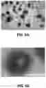 Fig. 07 - Expansile crosslinked polymersome for pH-sensitive delivery of anticancer drugs