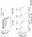 Fig. 09 - METHODS OF SENSITIZING CANCER CELLS TO IMMUNE CELL KILLING