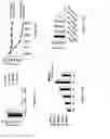 Fig. 06 - SULFUR-BASED BROAD SPECTRUM ANTIVIRALS
