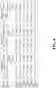 Fig. 07 - TOPICAL FORMULATIONS OF BIARYL HETEROCYCLIC COMPOUNDS AND METHODS OF USE THEREOF