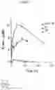 Fig. 02 - Compositions and methods for treating toxoplasmosis, cryptosporidiosis and other apicomplexan protozoan related diseases