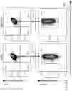 Fig. 02 - METHODS FOR ENHANCING PROLIFERATION OF T REGULATORY CELLS