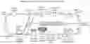 Fig. 01 - Processes for production of tumor infiltrating lymphocytes and uses of same in immunotherapy