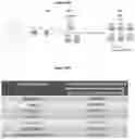 Fig. 110 - Processes for production of tumor infiltrating lymphocytes and uses of same in immunotherapy