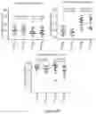 Fig. 23 - Processes for production of tumor infiltrating lymphocytes and uses of same in immunotherapy