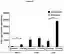 Fig. 75 - Processes for production of tumor infiltrating lymphocytes and uses of same in immunotherapy