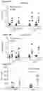 Fig. 80 - Processes for production of tumor infiltrating lymphocytes and uses of same in immunotherapy