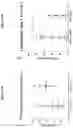 Fig. 86 - Processes for production of tumor infiltrating lymphocytes and uses of same in immunotherapy