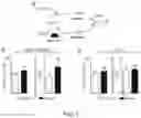Fig. 08 - METHODS OF TREATING DISEASES ASSOCIATED WITH ILC2 CELLS