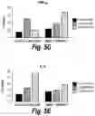 Fig. 09 - COMPOSITIONS AND METHODS USING AN EPIGENETIC INHIBITOR