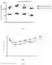 Fig. 02 - Pharmaceutical composition and food composition with strains of lactic acid bacteria for improving of kidney disease and inhibiting inflammation