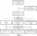 Fig. 02 - Compositions and methods useful in treatment of lower urinary tract symptoms, benign prostatic hyperplasia, erectile dysfunction and other diseases or symptoms