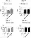Fig. 03 - METHODS FOR THE PREVENTION OR TREATMENT OF LEFT VENTRICLE REMODELING