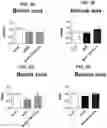 Fig. 05 - METHODS FOR THE PREVENTION OR TREATMENT OF LEFT VENTRICLE REMODELING