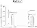 Fig. 19 - METHODS FOR THE PREVENTION OR TREATMENT OF LEFT VENTRICLE REMODELING
