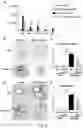 Fig. 08 - GLP-1R agonists and uses thereof