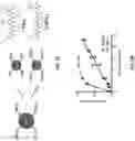 Fig. 03 - Antigen-adjuvant coupling reagents and methods of use